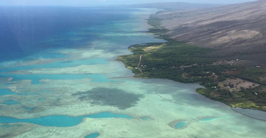 West Maui and Molokai Special 45-Minute Helicopter Tour - West Maui North Shore: rainforest, coastline, and the “hidden water” angle
