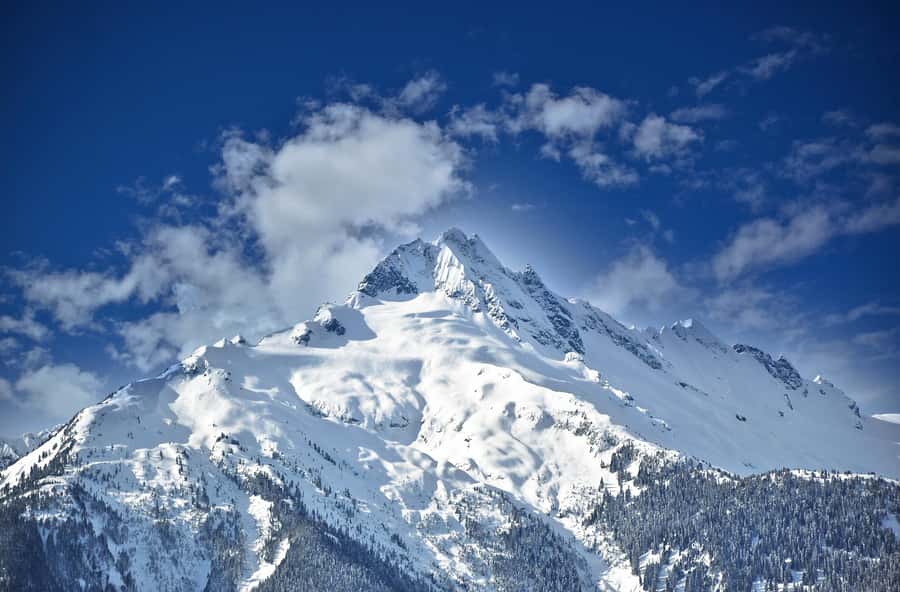 Whistler: Glacier Helicopter Tour over Wedge Mountain - Guides and pilots: why the info makes the short flight worth it